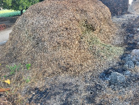 પાલો વેચવાનો છે