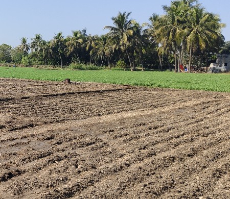 જમીન વેચવાની છે