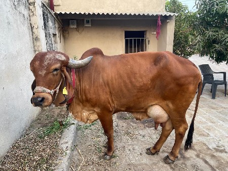 थंबनेल 2