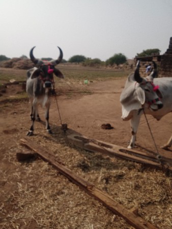 थंबनेल 2