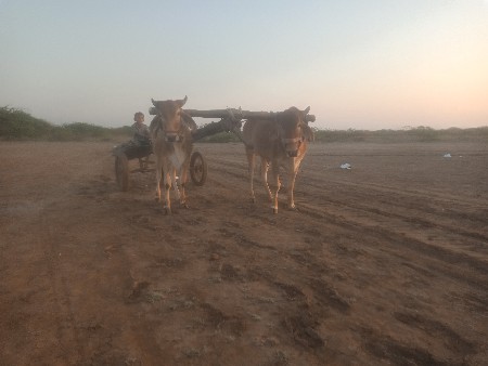 थंबनेल 2