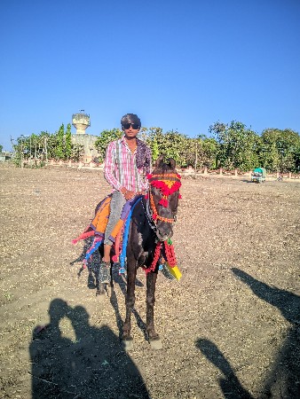 थंबनेल 3