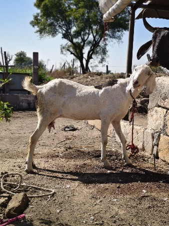 थंबनेल 2