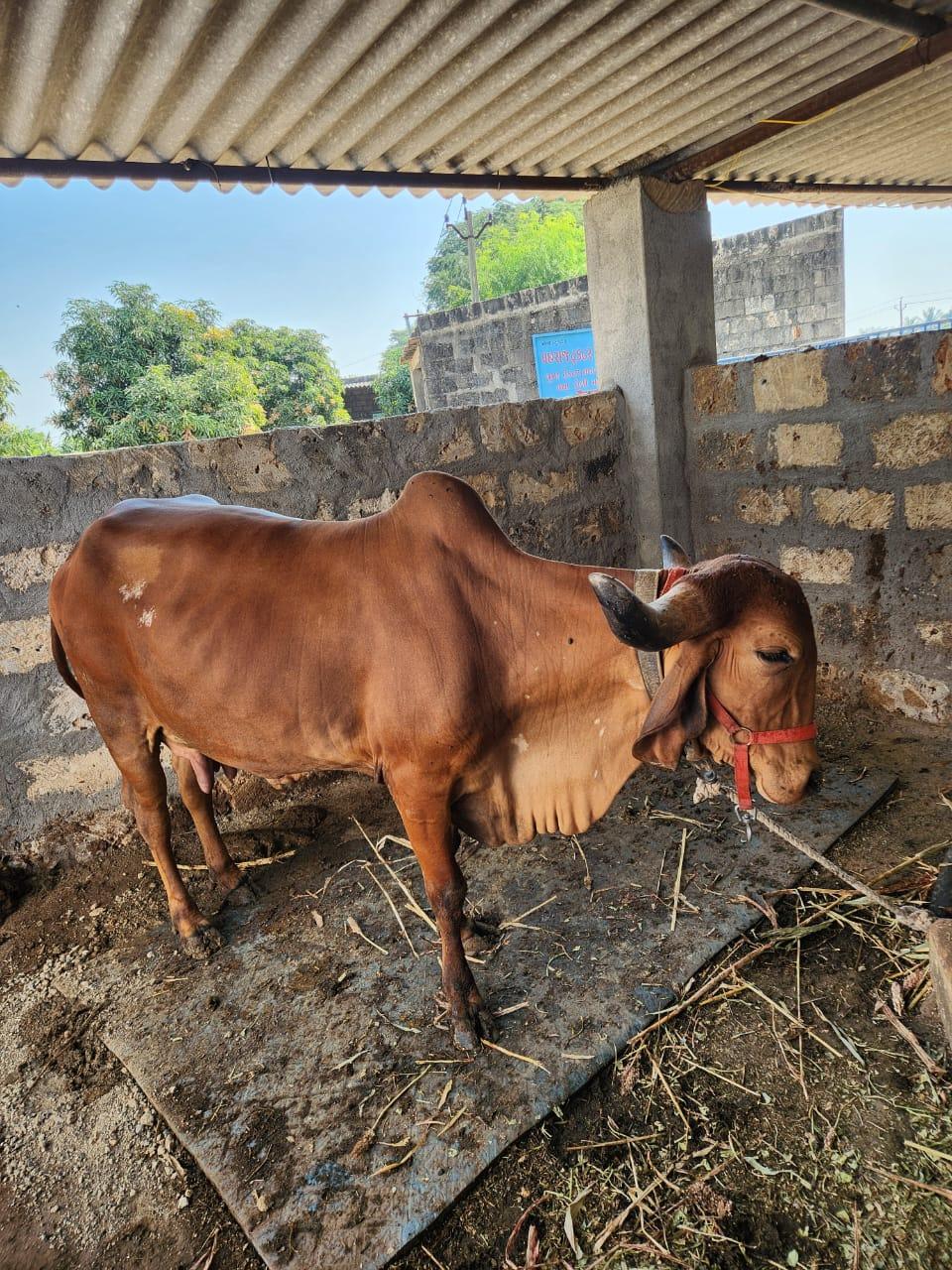 थंबनेल 2