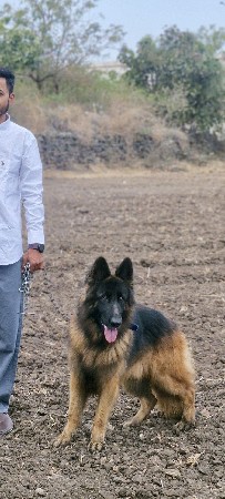 વેચવાનો નથી..ફક્ત મિટિંગ માટે છે