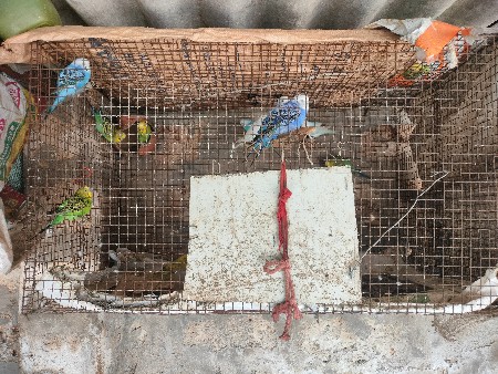 थंबनेल 3