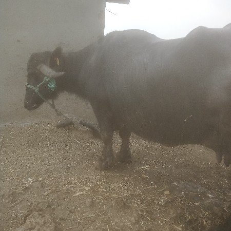 थंबनेल 2