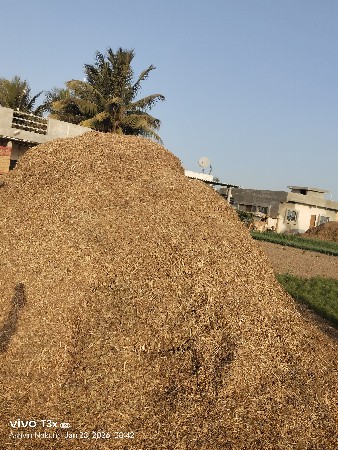 મગફળી નો ભૂકો