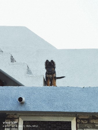 थंबनेल 2