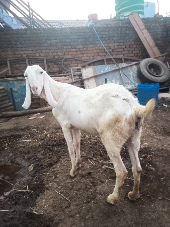 थंबनेल 2