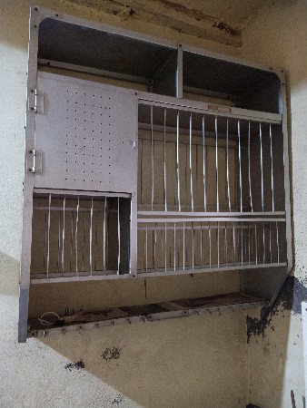 थंबनेल 2