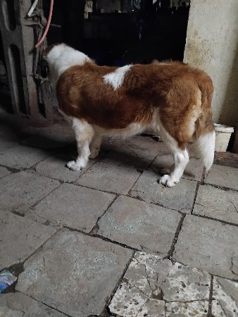 थंबनेल 2