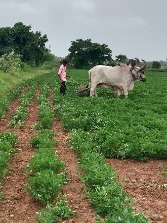 વેચવાનાછે
