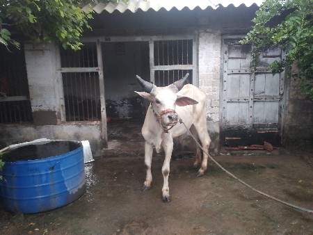 થંબનેલ 3