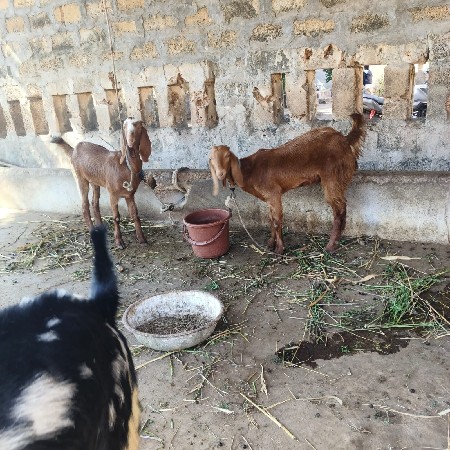 थंबनेल 2