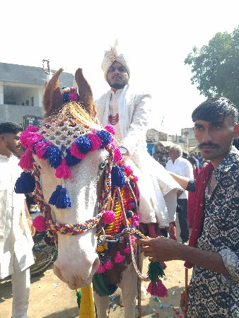 ધોડી વેસવાનીસે સાટા‌ કરવા સામે. સફે