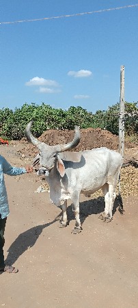 थंबनेल 3