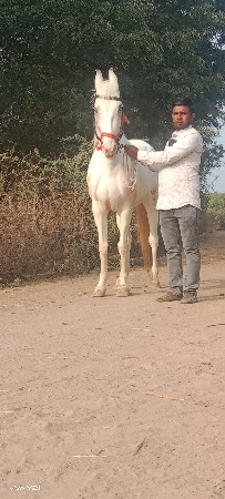 થંબનેલ 3