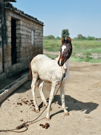 थंबनेल 2