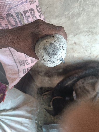 थंबनेल 2