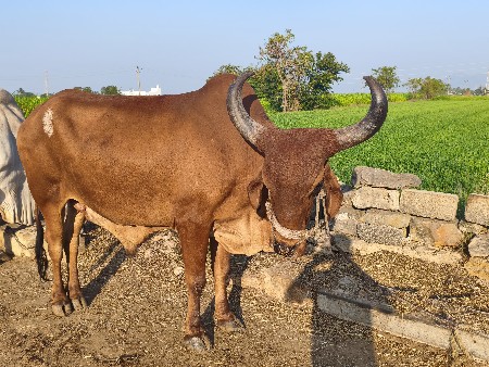 थंबनेल 2