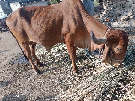 थंबनेल 2