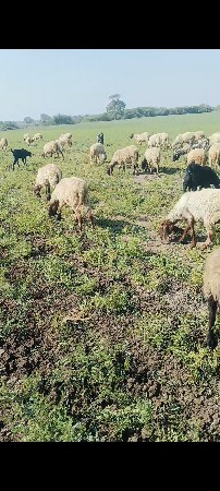 थंबनेल 2