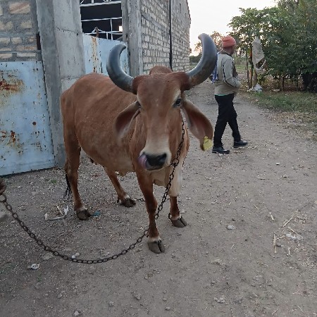 थंबनेल 2