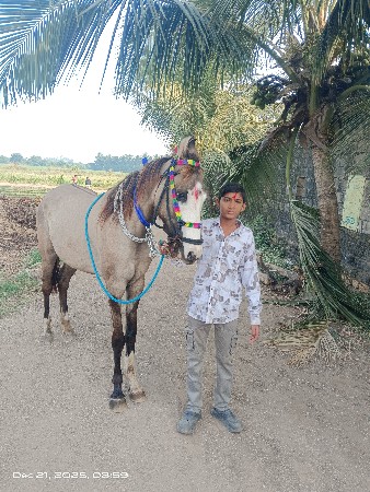 थंबनेल 2