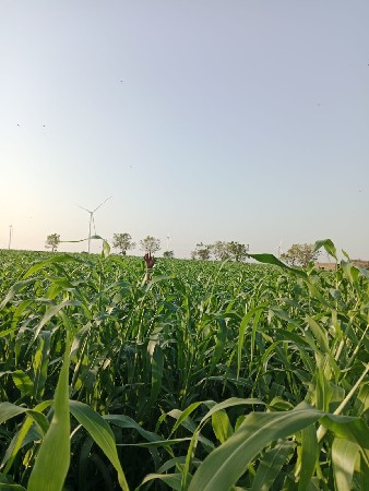 થંબનેલ 2