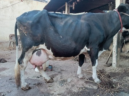 थंबनेल 2