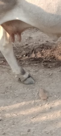 थंबनेल 2