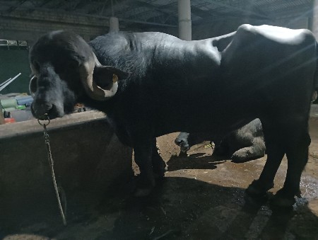 थंबनेल 2