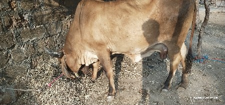 थंबनेल 3