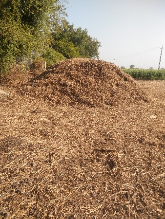 ભુકો વેચવાનો છે