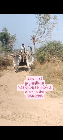 થંબનેલ 2