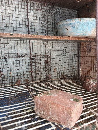 थंबनेल 3