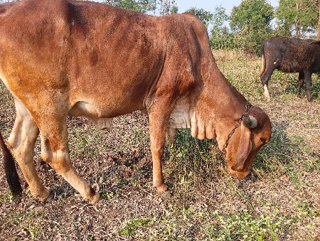 थंबनेल 2