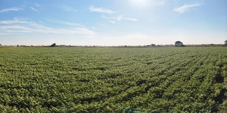 ગા.એરડા જી.પોરબંદર.તા પોરબંદર