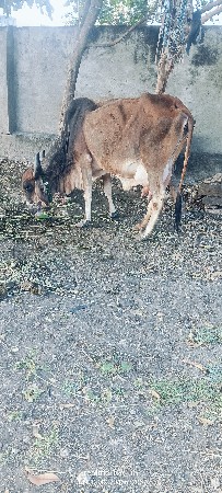 थंबनेल 6