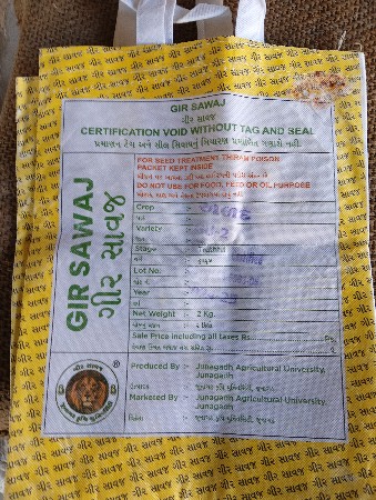 હાવજ અળદ બીયારણ દેવાનું છે