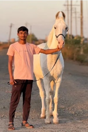 थंबनेल 2