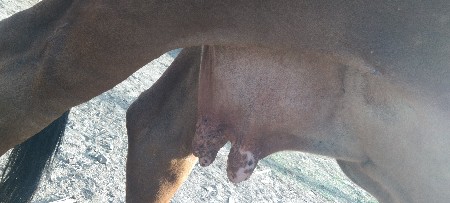 थंबनेल 1