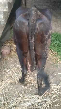 थंबनेल 3