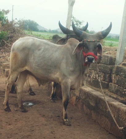 थंबनेल 2