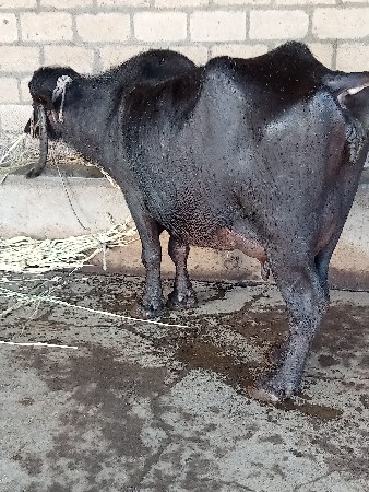 थंबनेल 2