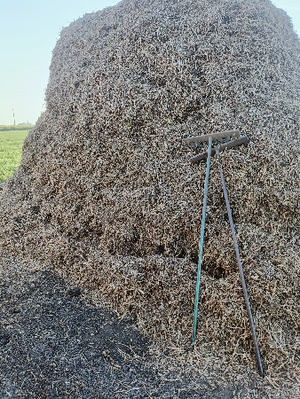 માંડવી નો ભુકો