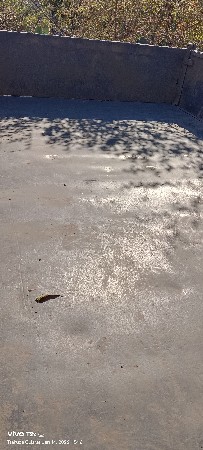 ટોલી વેચવાની છે