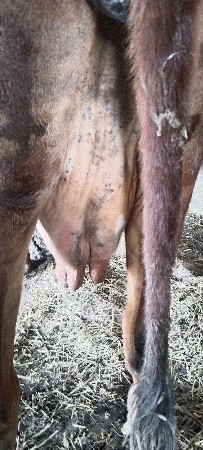 5 દિવસ ની કાશી સે