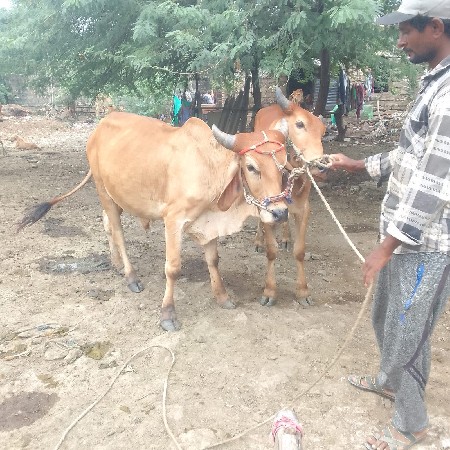 थंबनेल 3